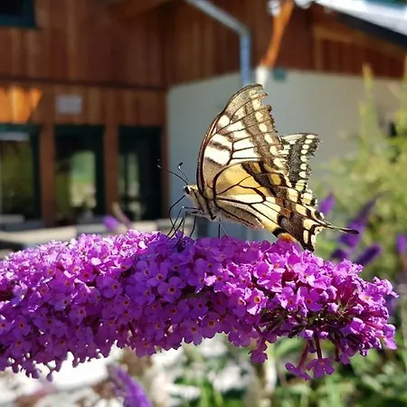 Wellness Bell A Dağ evi Murau