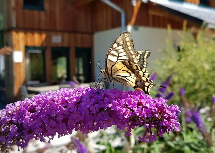 Wellness Bell A Chalet Murau