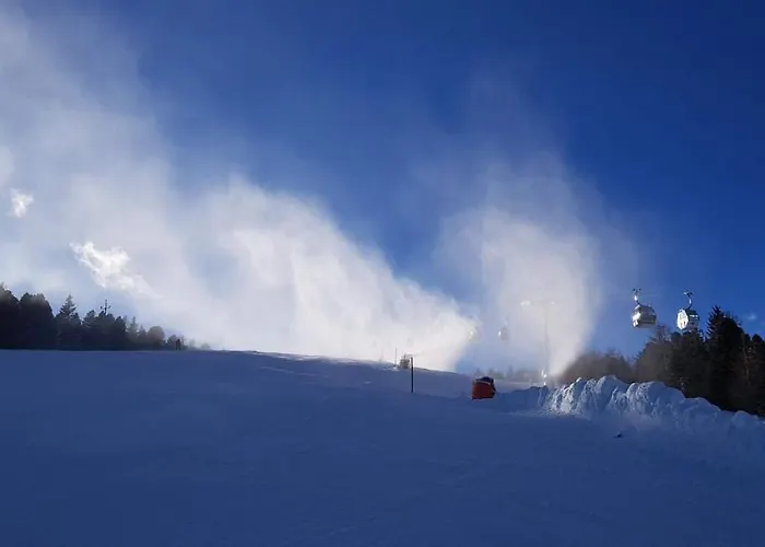 Wellness Bell A * Murau